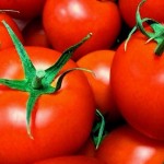 スペインのトマト祭りはいつ？旅行の計画前に知っておこう！